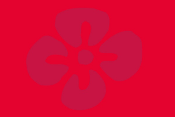 amyna-blume7.jpg